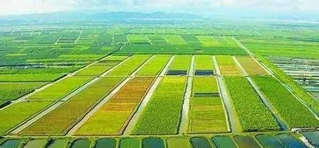 三农为哪三农(农村农民农业)