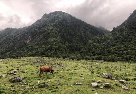 你们的周末都怎么过的