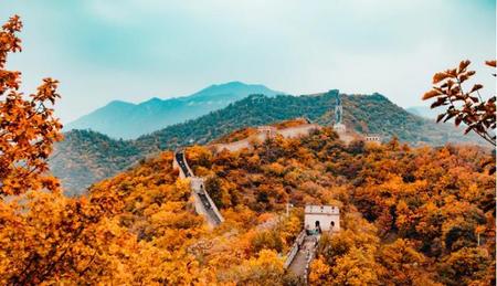 小说的写作方法(小说写作方法与技巧)