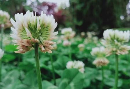 走不出背叛的阴影怎么办(无法走出老公背叛的阴影怎么办)