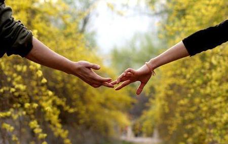 属牛女的和属虎男的在一起会怎么样(相冲的婚姻如何化解)