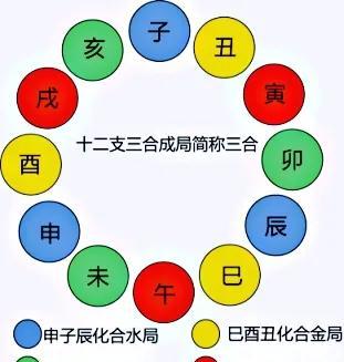 十二生肖之说起源于(关于十二生肖的起源和见闻)