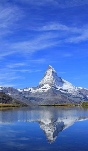 现实真的很残酷的句子(现实残酷的句子经典语录)