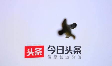 头条素材一般在哪里找(头条文章素材从哪找)