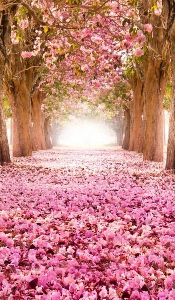 孤僻的人适合结婚吗(性格孤僻不想结婚)