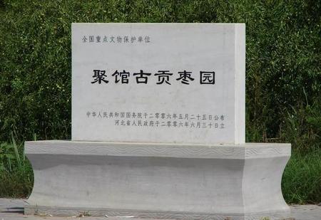 沧州有什么特产可以带(河北沧州特产有哪些可带走)