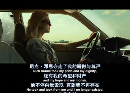 消失的爱人电影介绍(消失的爱人影评豆瓣影评)