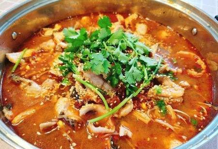 水煮鱼底菜放什么好吃(水煮鱼酸菜鱼还有什么鱼)