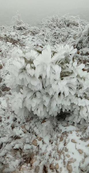 天才在左疯子在右谁是谁解析