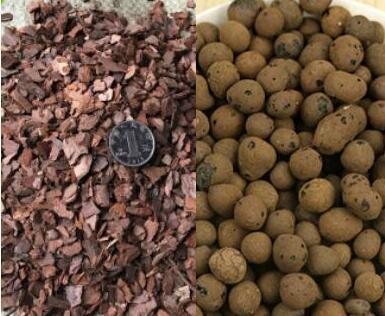 兰花用什么土栽培最好