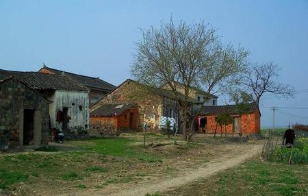 丧事外甥给舅舅怎么磕头(初二外甥给舅舅拜年)
