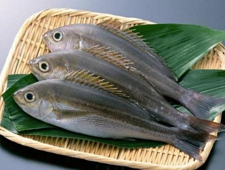 吃鱼的孩子真的聪明吗