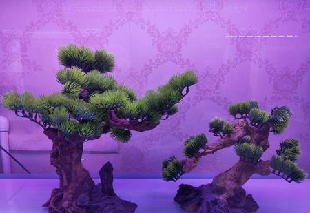 历史上最风流的诗人是谁(最风流的古代诗人)