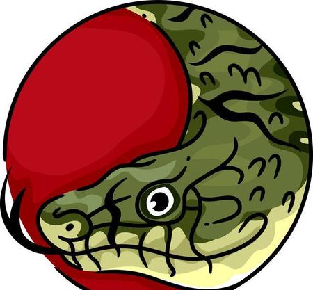 属蛇晚年生活好不好