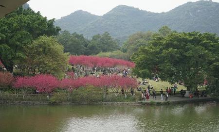 春去花还在,人来鸟不惊描写的景物(远看山有色近听水无声春去花还在描写了哪些景物)