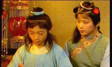 红楼梦赵姨娘和贾环结局(赵姨娘骂贾环原文)