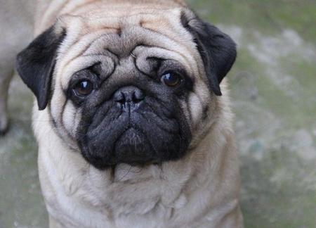 小时候玩过的街机(小时候的街机游戏)