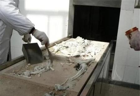 火化后dna还有吗(火化后的骨头还能验DNA吗?)