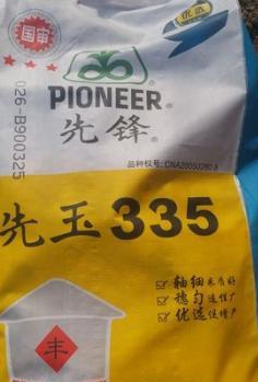 转基因玉米品种有哪些(转基因玉米有哪些品种)