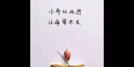 难忘的小说(必看经典网络小说)