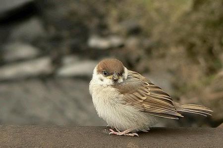 发生在小时候的尴尬事件(小时候做的事情现在很尴尬)
