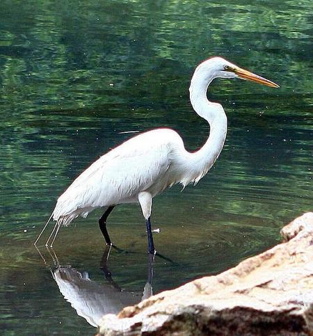 日本女特务川岛芳子死亡之谜