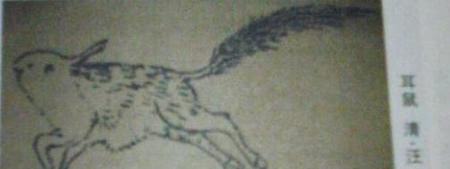 山海经哪些动物被证实了(山海经最神奇的想象是什么)