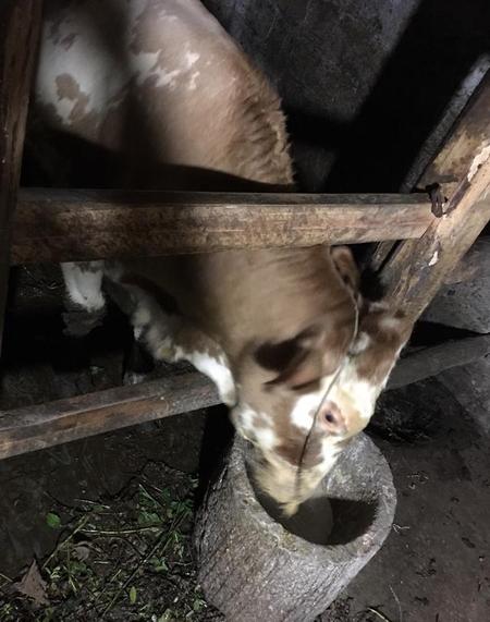 城市还是农村(农村生活好还是城市生活好)