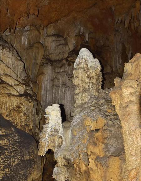 2020年最有意义的照片