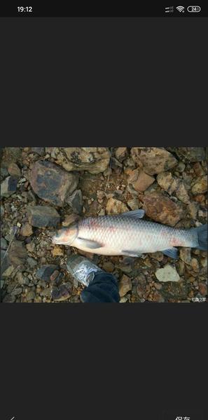 最便宜的鱼竿多少钱一根(钓鱼竿多少钱一个)