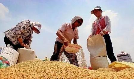 解决大量化肥农药的使用造成的农田环境污染