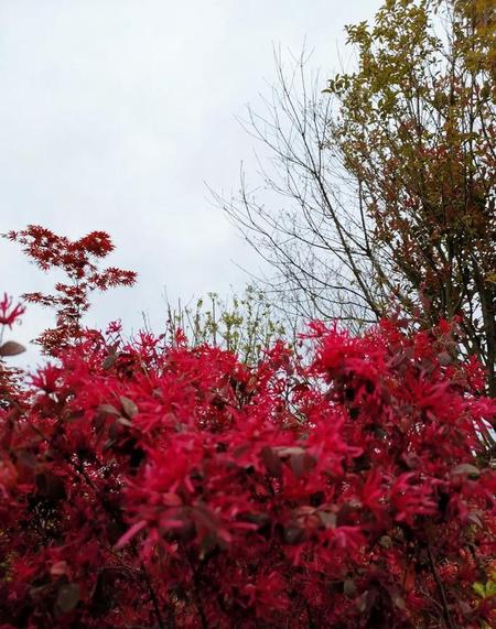 西部题材的美剧(微信公众号)