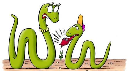 生肖蛇代表什么含义(十二生肖的寓意和象征)