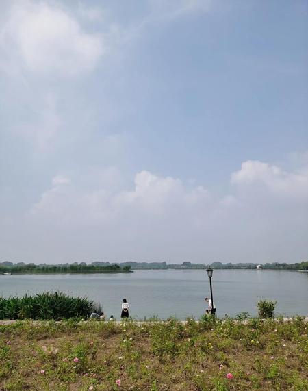 长期两地分居的夫妻结果会如何(夫妻之间渐行渐远)