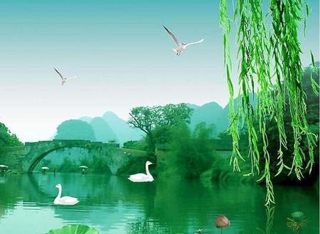 咏柳是唐代诗人贺知章的代表诗作吗(唐贺知章咏柳古诗)