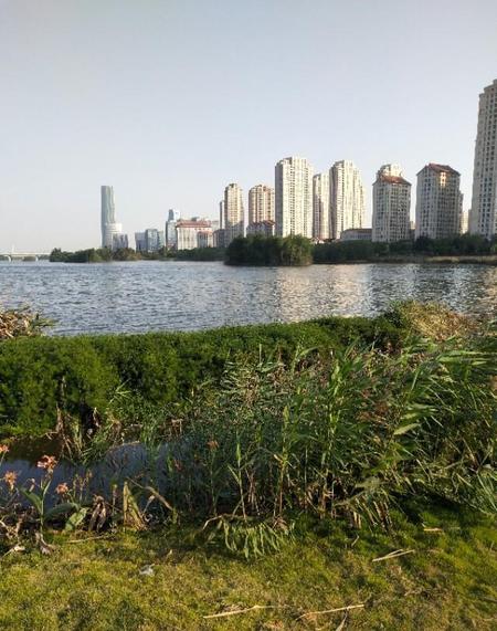 真正的三观,不是拥有什么正确的三观(为什么树立正确的三观很重要)