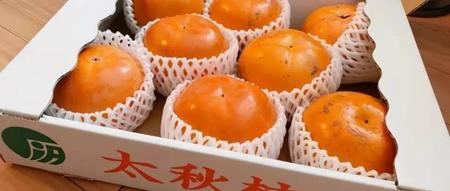 适合南方种植的水果(微生物菌剂能代替有机肥吗)