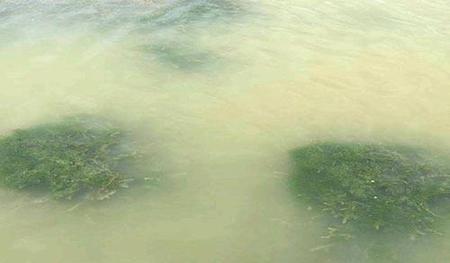 鱼池水浑浊怎么处理(基础淤泥太深如何处理)