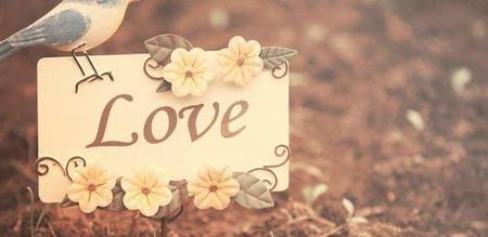 烟花易冷是什么感情(烟花易冷这首歌表达的意思)