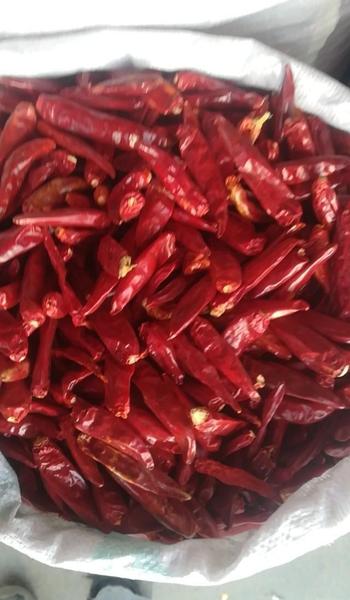 子弹头辣椒和二荆条辣椒的区别(二荆条辣椒和子弹头辣椒哪个更香)