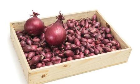 你还知道什么蔬菜(蔬菜儿歌有哪些)