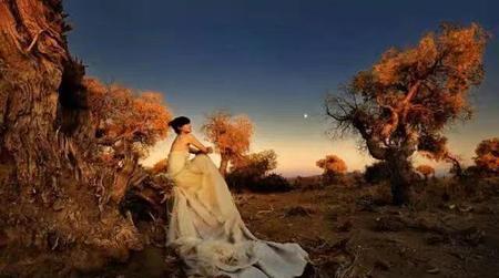 大树快速枯死的方法(万亩防护林遭砍伐)