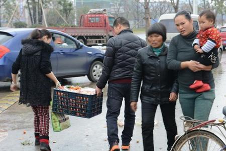 丑橘和砂糖橘(沙糖桔吃多了牙疼)