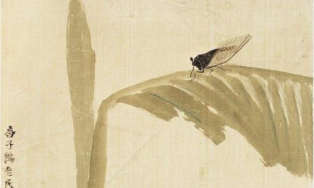 垂緌饮清露中的垂緌是什么意思(蝉唐虞世南诗意)