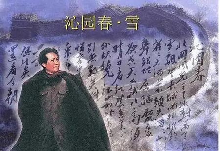 沁园春雪表达了什么意思(沁园春雪表达的思想感情)