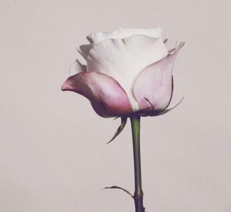 女人做过夜场毁终身,单纯的人不适合做夜场(女人做过夜场毁终身)