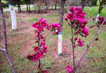 古代仕途不顺的诗人
