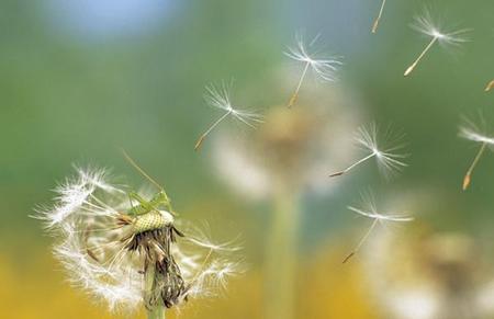 我是易燃易爆脾气的人(妈妈对孩子发脾气)