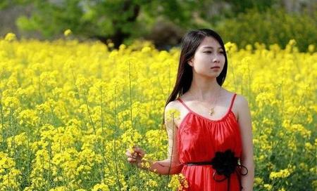 三国里的汉中是现在的什么地方