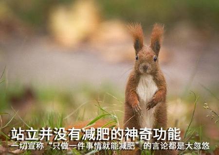 饭后靠墙站立半小时能减肥吗